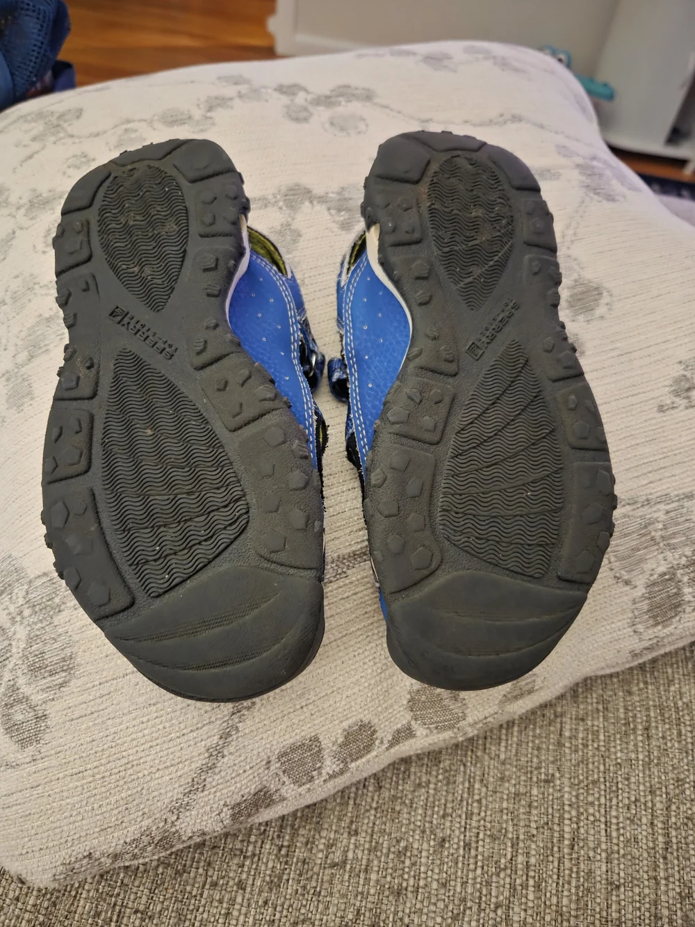 Sperry Kids Blue and Lime Green Wet Tech Fish II Sandal